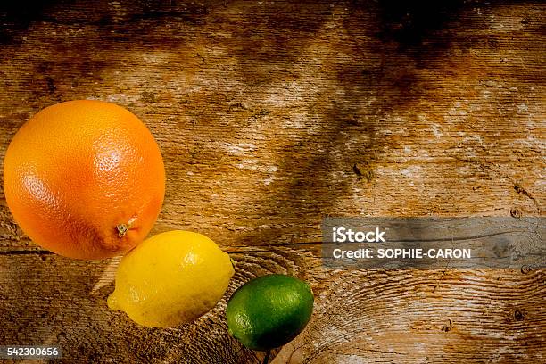 Three Citrus Fruits Stock Photo - Download Image Now - Citrus Fruit, Copy Space, Food and Drink