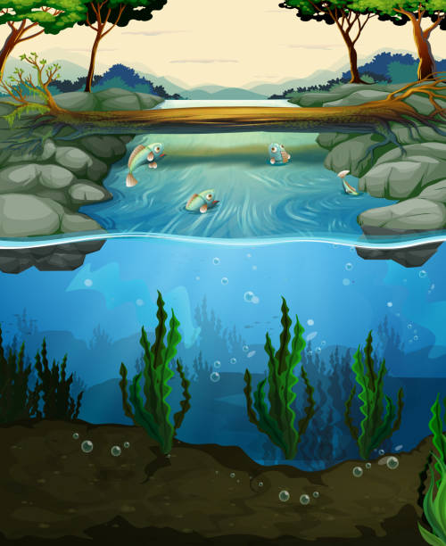 scena z ryb, pływanie w rzece - directly below illustrations stock illustrations