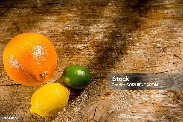 Grapefruit Lemon Lime Stock Photo - Download Image Now - Citrus Fruit, Copy Space, Food