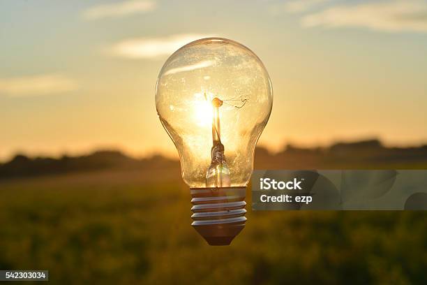 Bulb Stock Photo - Download Image Now - Light Bulb, Intellectual Property, Creativity