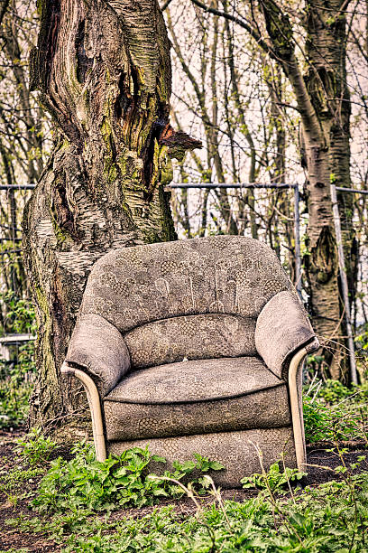 istock old dirty armchair in front of a tree 542303408