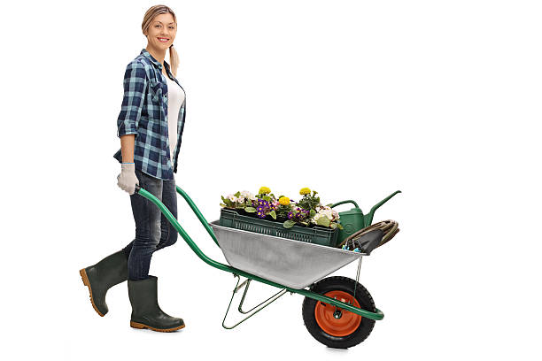 Full length portrait of a young woman pushing a wheelbarrow with gardening equipment isolated on white background