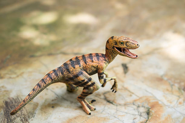 istock yellow velociraptor toy stands on a rock 542309100