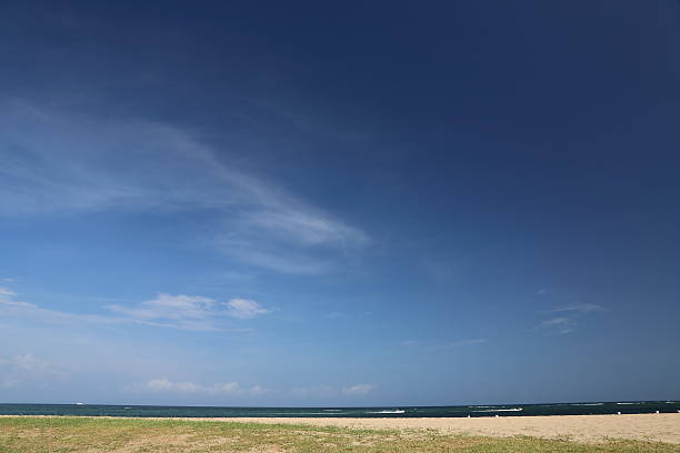 istock landscape of bali island 542309516