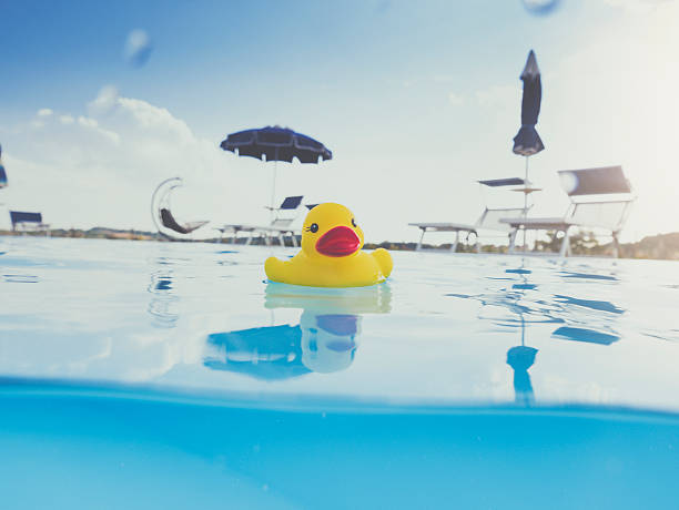 istock Yellow rubber duck floating  in a swimming pool 542310052