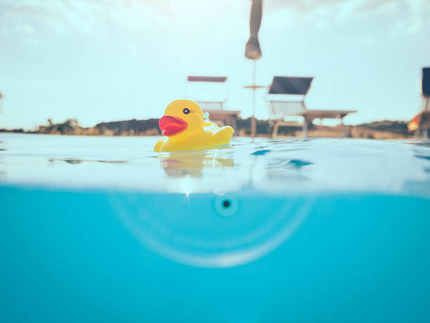 istock Yellow rubber duck floating  in a swimming pool 542311302