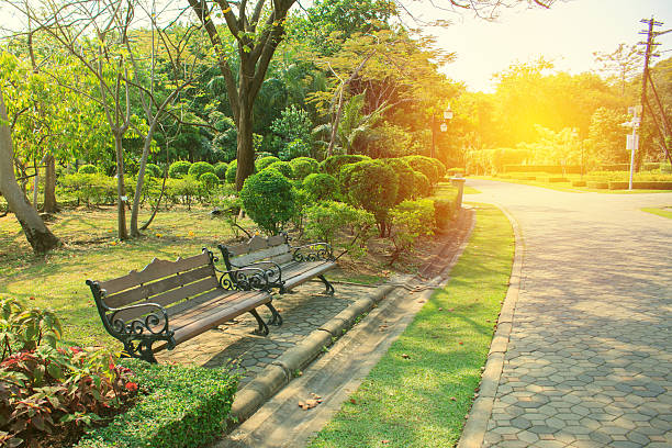 istock Bench in beautiful city park 542311894