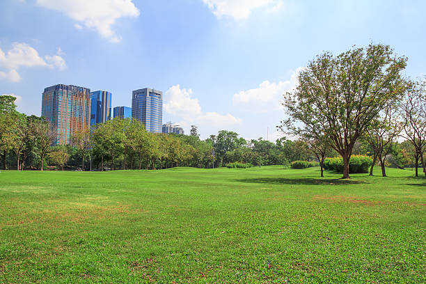 istock Park in city 542312222