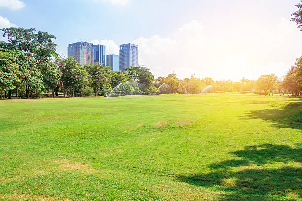 istock Park in city 542312416