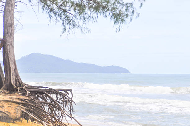 istock beach , sea and sky in blur  background 542313068