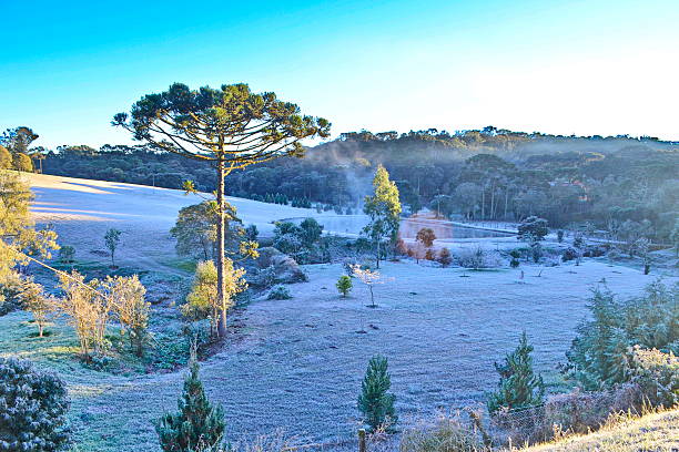 Beautiful countryside with frost Beautiful countryside with frost in the city of Campo Alegre, Santa Catarina, Brazil. Photo taken on 12.06.2016 on a Sunday morning, with temperatures ranging between -3 ° C and 1 ° C. santa catarina brazil stock pictures, royalty-free photos & images