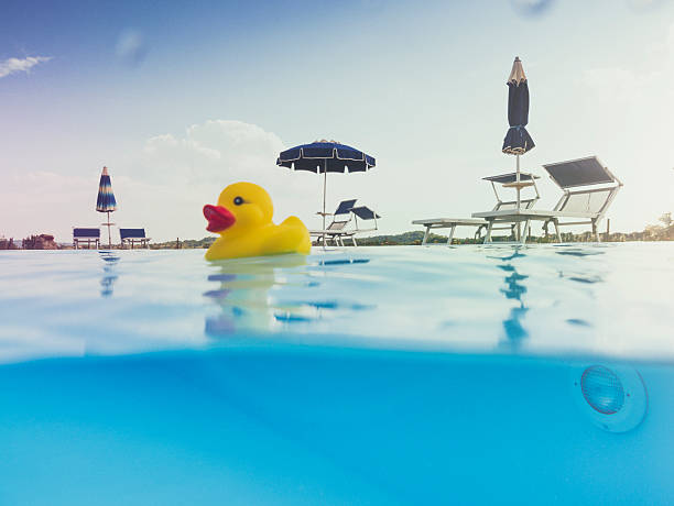 istock Yellow rubber duck floating  in a swimming pool 542313918