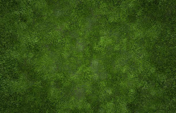 textura de relva - leafy greens imagens e fotografias de stock