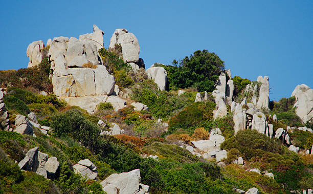 istock Rocky landscape in Sardinia - Italy 542316270