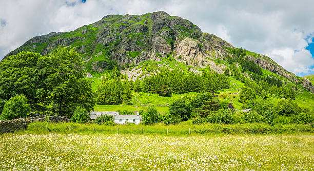 gîtes à la ferme niché dans les montagnes vert marguerite meadows-dessous dans le cumbrie - langdale pikes panoramic english lake district cumbria photos et images de collection