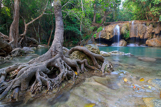 istock Erawan Waterfall in National Park 542316776