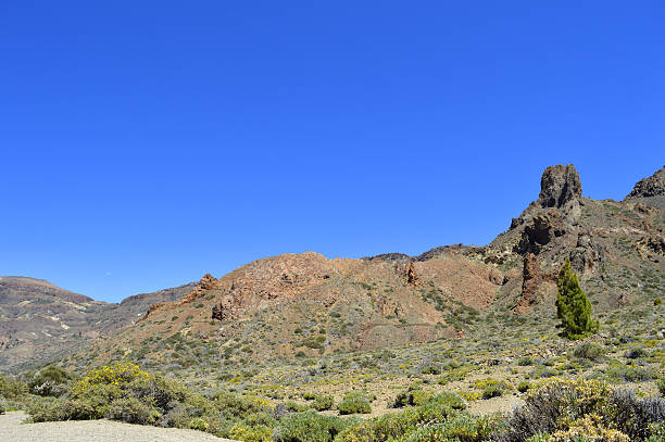 istock Boca Tauce in Mount Teide National Park 542316938
