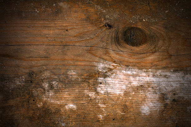istock Old Wooden Background with Knot 542316976