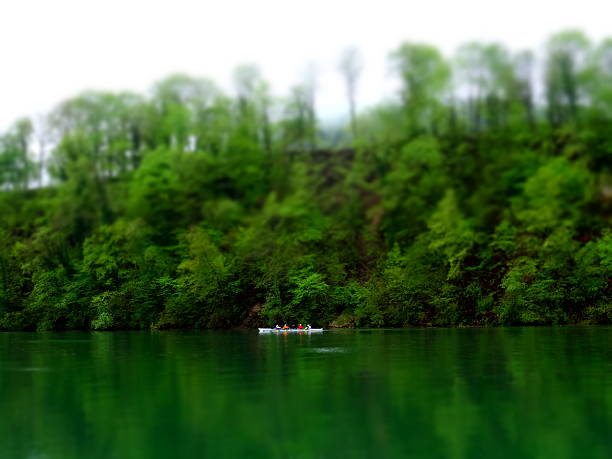 Blurred to create a miniature view of a canoe with four persons on board on the tranquil Rhine river. The water is emerald green and reflects the vegetation.
