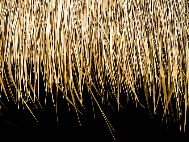 istock closeup of thatch roof 542321372