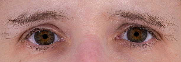 istock Pair of brown eyes 542325518