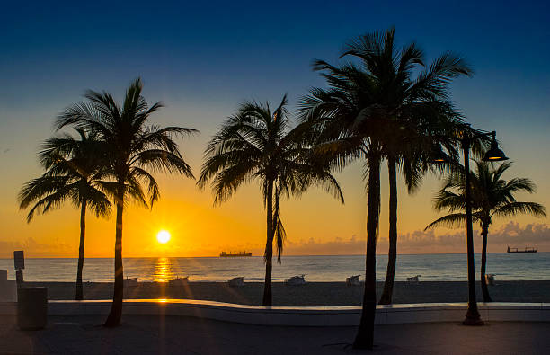 lever de soleil sur la plage de fort lauderdale - fort lauderdale florida miami florida beach photos et images de collection