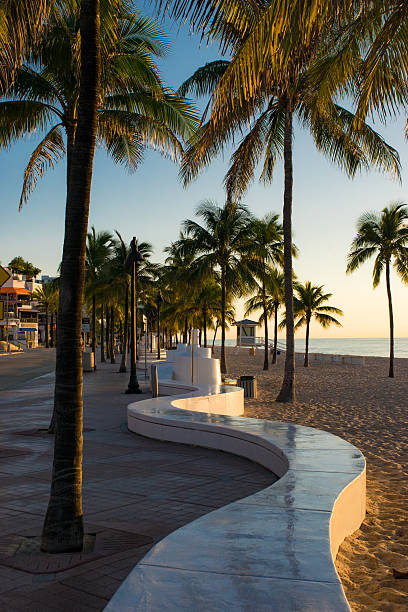 istock Sunrise on Fort Lauderdale Beach Sidewalk 542325910