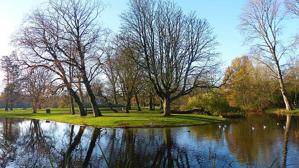 istock Pond at the Vondelpark in Amsterdam. 542325926