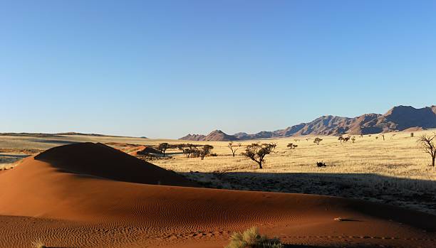 istock Sand Dunes meet the Tiras Moutains 542325960
