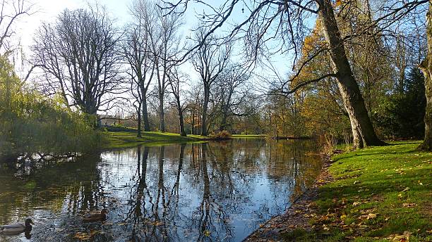 istock Autumn in Vondelpark, Amsterdam. 542326060