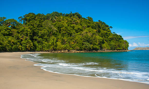 Tropical Beach in Costa Rica A tropical beach near Manuel Antonio in Costa Rica. manuel antonio national park stock pictures, royalty-free photos & images