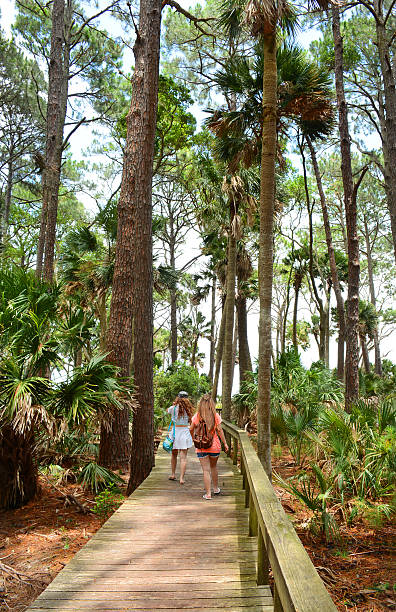 istock Girls  hiking on vacation. 542327638