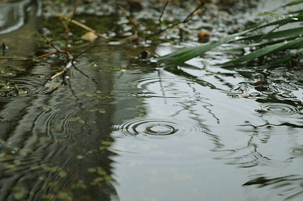 istock Rain drop falling into puddle, Long Island, New York 542329274