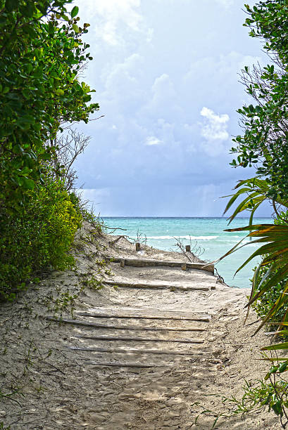istock Gold Rock Beach, Bahamas. 542330388