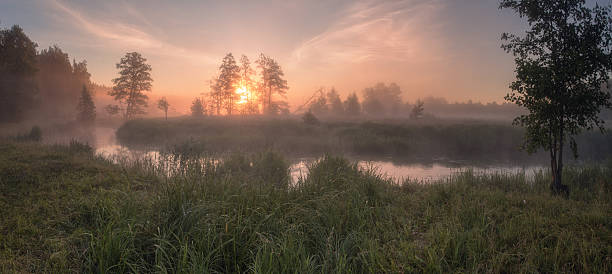 istock Summer misty sunny morning 542331322