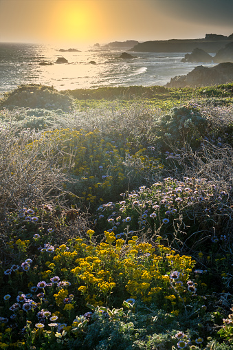 Seascape of northern California