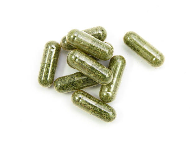 istock close up andrographis paniculata herbal antipyretic capsules 542550038