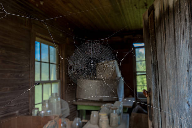 istock Abbandoned Country Barn 542550560