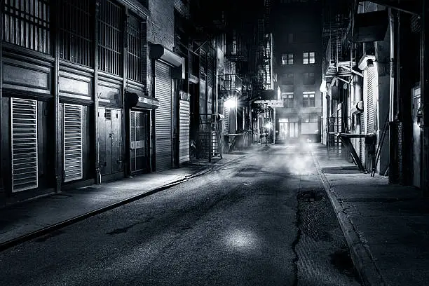 Photo of Cortlandt Alley by night in NYC