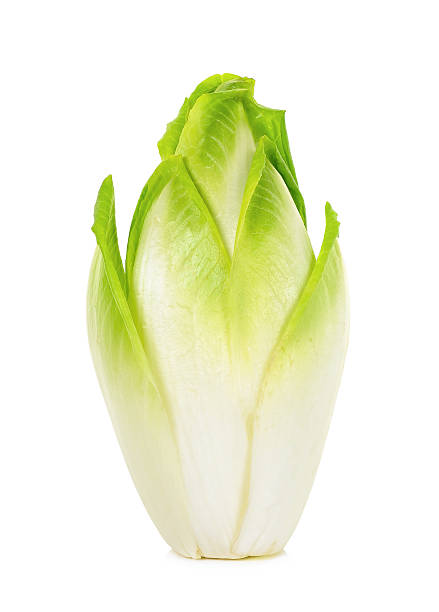 fresh chicory isolated fresh chicory isolated on a white background. chicory stock pictures, royalty-free photos & images