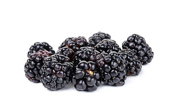 istock blackberry isolated on the white background 542550824
