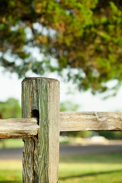 istock Old, rustic wooden fence in pasture.  Summer. 542552596