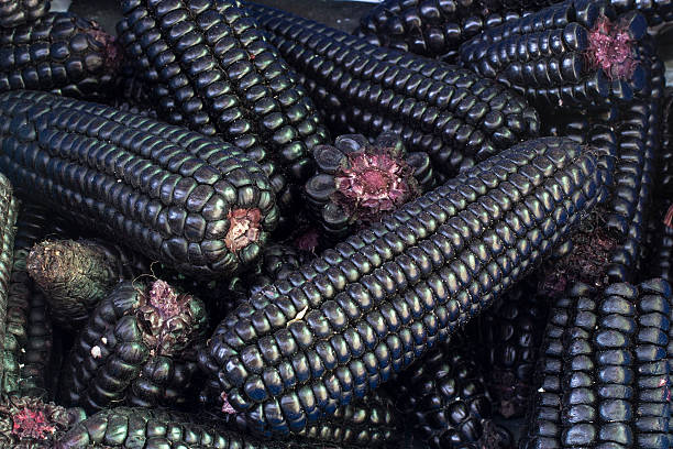 mais viola peruviano (maiz morado), - corn fruit vegetable corn on the cob foto e immagini stock