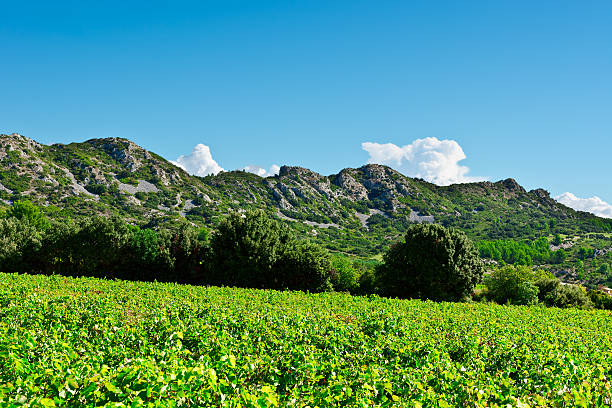 istock Autumn in France 542554576