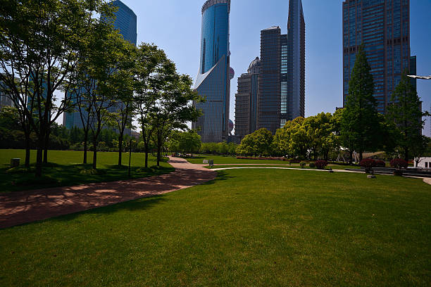 istock Park empty lawn with modern city buildings background 542554828