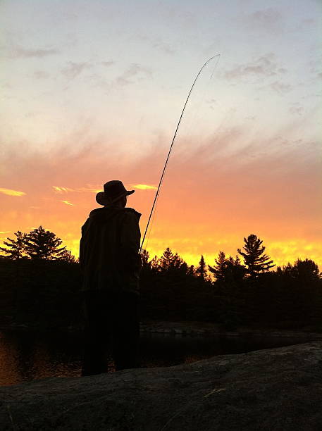 istock Fly fisherman silhouette at sunset- vertical 542554944