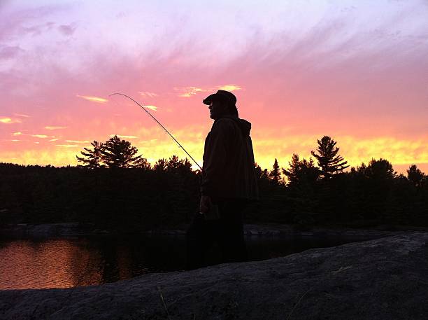 istock Fly fisherman silhouette at dusk - profile 542554946