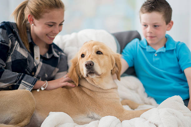 istock Brother and Sister with Their Dog 542555942
