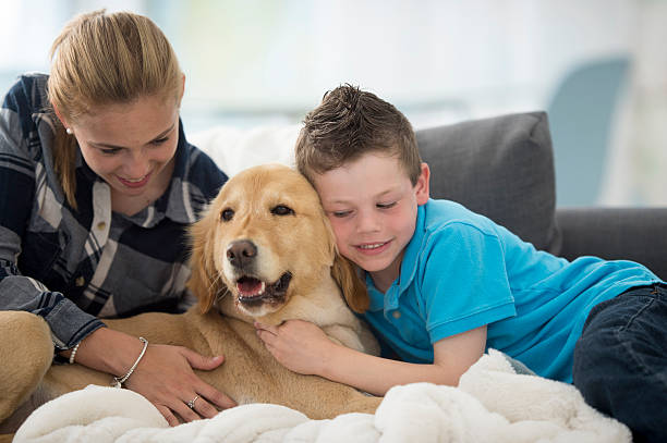 istock Siblings Petting Their Dog 542555950