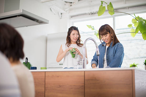 istock Two women washing the dishes 542556168